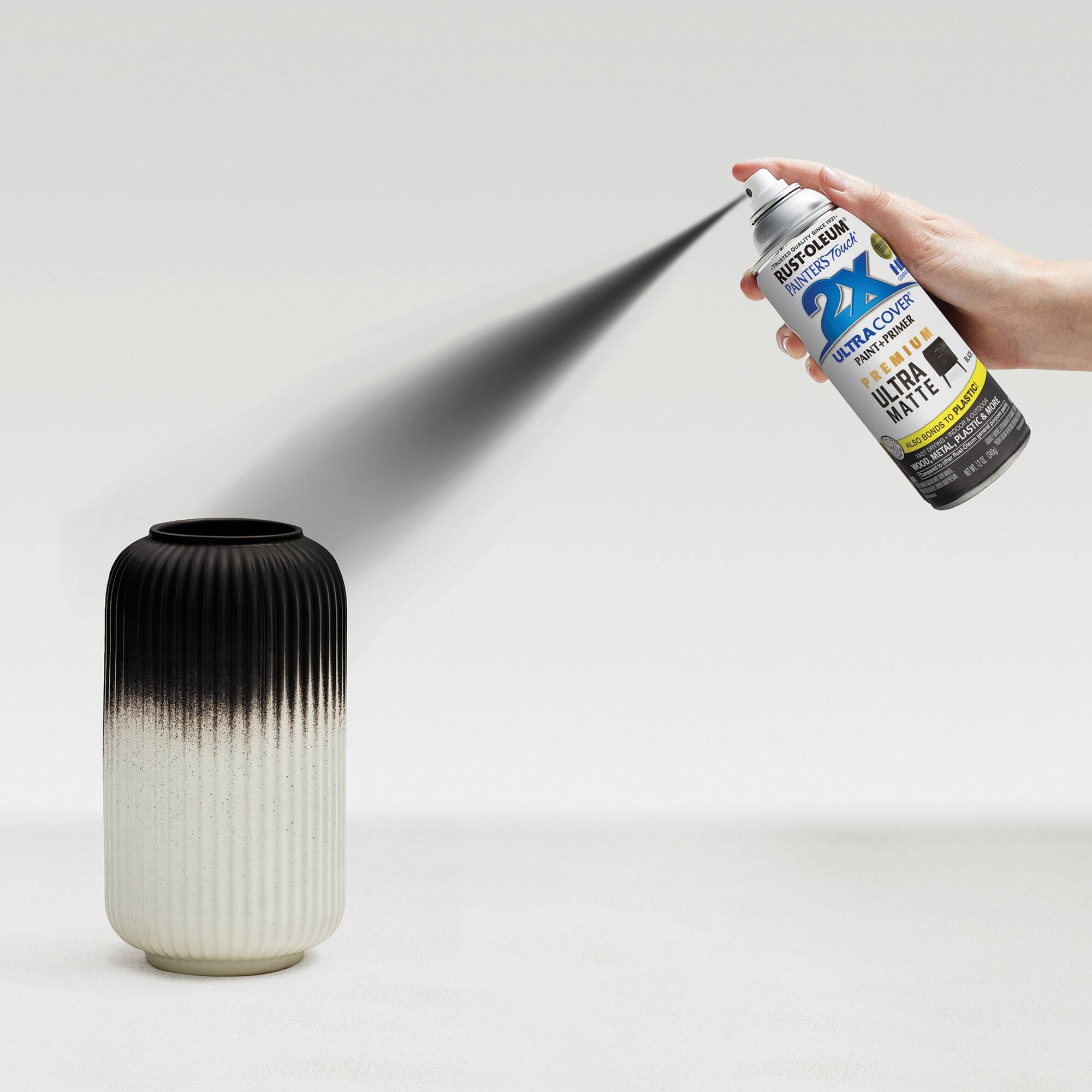 Rust-Oleum® Painter's Touch® 2X Ultra Matte Paint & Primer Spray